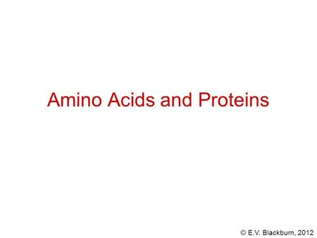 © E.V. Blackburn, 2012 Amino Acids and Proteins. © E.V. Blackburn, 2012 The hydrolysis of most proteins produces about twenty different amino acids. an.