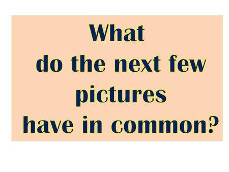 What do the next few pictures have in common?.