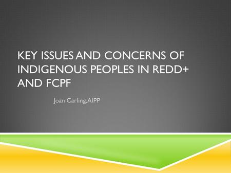 KEY ISSUES AND CONCERNS OF INDIGENOUS PEOPLES IN REDD+ AND FCPF Joan Carling, AIPP.