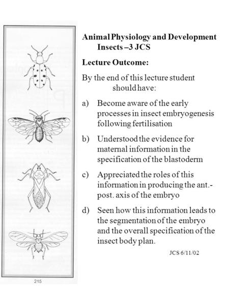 Animal Physiology and Development Insects –3 JCS Lecture Outcome: By the end of this lecture student should have: a)Become aware of the early processes.