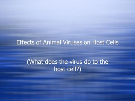 Effects of Animal Viruses on Host Cells (What does the virus do to the host cell?)