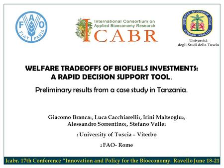 WELFARE TRADEOFFS OF BIOFUELS INVESTMENTS: A RAPID DECISION SUPPORT TOOL. Preliminary results from a case study in Tanzania. Giacomo Branca 1, Luca Cacchiarelli.
