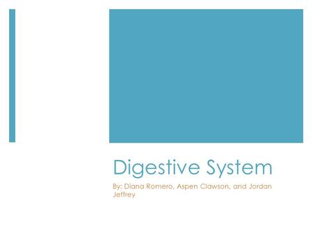 Digestive System By: Diana Romero, Aspen Clawson, and Jordan Jeffrey.