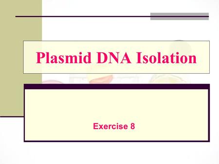 Plasmid DNA Isolation Exercise 8.