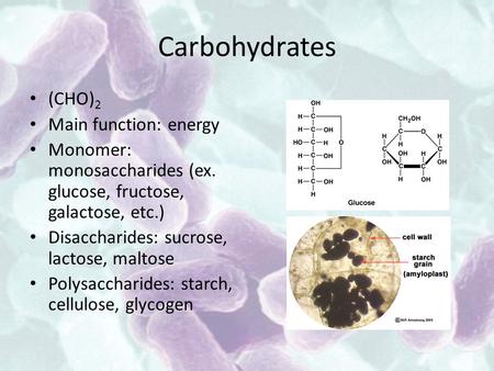 Carbohydrates (CHO) 2 Main function: energy Monomer: monosaccharides (ex. glucose, fructose, galactose, etc.) Disaccharides: sucrose, lactose, maltose.