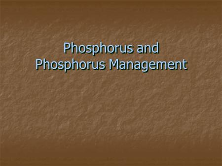 Phosphorus and Phosphorus Management. Outline − Introduction − P Sources − P Transport − Environmental Concerns − P Management − Summary.