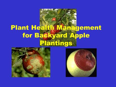 Plant Health Management for Backyard Apple Plantings