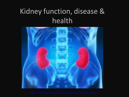 Kidney function, disease & health