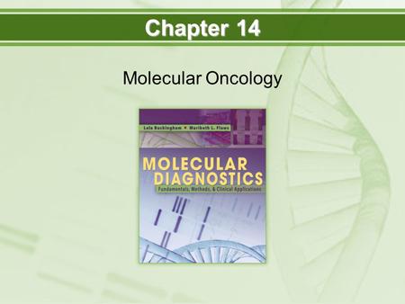 Chapter 14 Molecular Oncology.