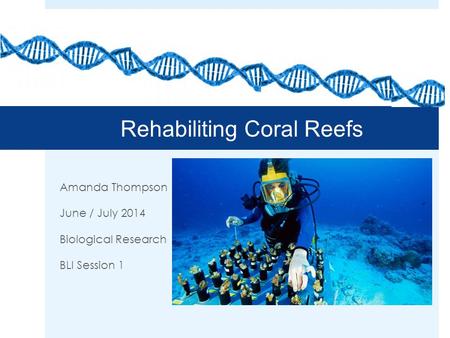 Rehabiliting Coral Reefs Amanda Thompson June / July 2014 Biological Research BLI Session 1.