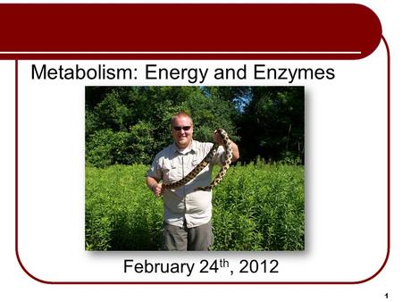 Metabolism: Energy and Enzymes February 24 th, 2012 1.