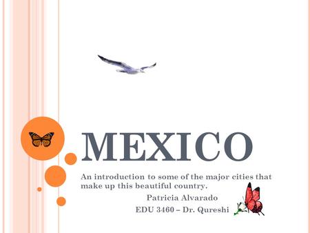 MEXICO An introduction to some of the major cities that make up this beautiful country. Patricia Alvarado EDU 3460 – Dr. Qureshi.
