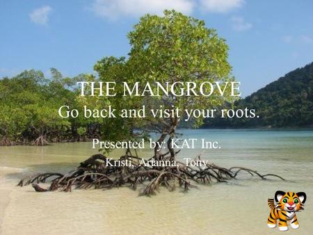 THE MANGROVE Go back and visit your roots. Presented by: KAT Inc. Kristi, Arianna, Tony.