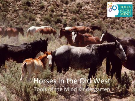 Horses in the Old West Tools of the Mind Kindergarten.