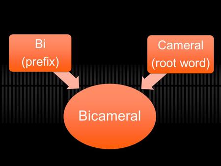 Bicameral Bi (prefix) Cameral (root word).