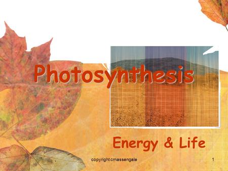 1 Photosynthesis Energy & Life copyright cmassengale.