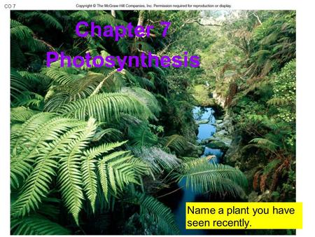 CO 7 Chapter 7 Photosynthesis Name a plant you have seen recently.