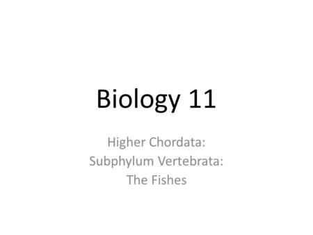 Higher Chordata: Subphylum Vertebrata: The Fishes