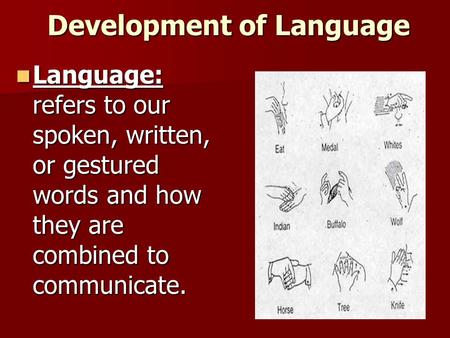 Development of Language Language: refers to our spoken, written, or gestured words and how they are combined to communicate. Language: refers to our spoken,