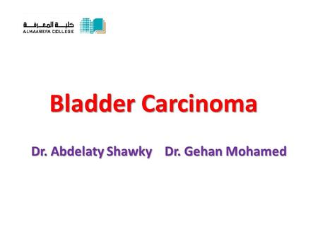 Dr. Abdelaty Shawky Dr. Gehan Mohamed