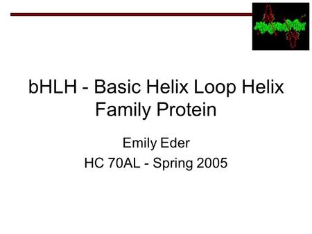 BHLH - Basic Helix Loop Helix Family Protein Emily Eder HC 70AL - Spring 2005.