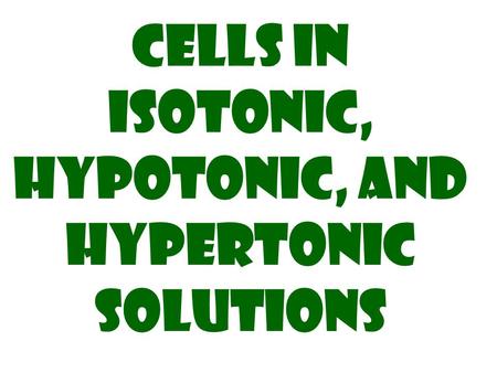 Cells in isotonic, hypotonic, and Hypertonic solutions