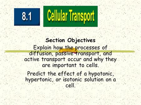 Section Objectives Explain how the processes of diffusion, passive transport, and active transport occur and why they are important to cells. Predict the.
