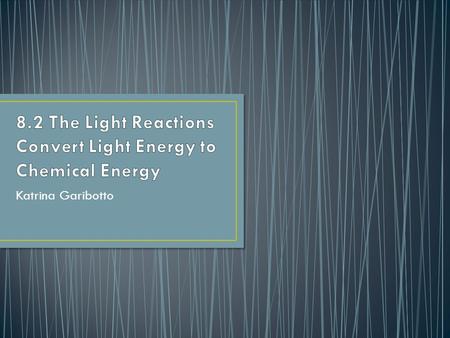 8.2 The Light Reactions Convert Light Energy to Chemical Energy