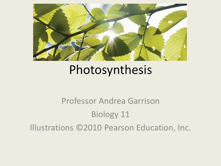 Photosynthesis Professor Andrea Garrison Biology 11 Illustrations ©2010 Pearson Education, Inc.