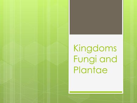Kingdoms Fungi and Plantae