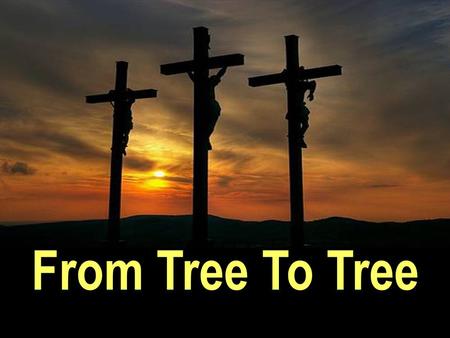 From Tree To Tree. From the TREE of Life (Garden of Eden) to the TREE of Life (Cross of Christ)