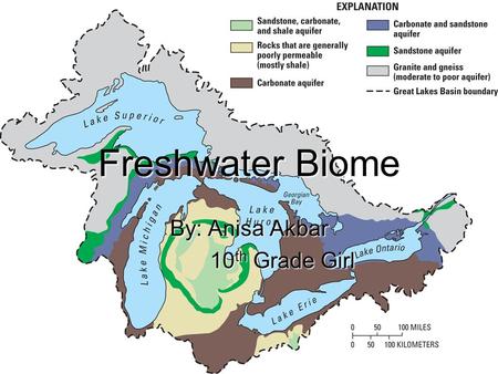 Freshwater Biome By: Anisa Akbar 10 th Grade Girl 10 th Grade Girl.