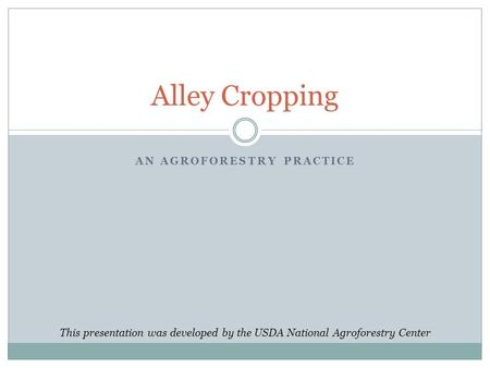 An Agroforestry Practice