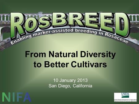 From Natural Diversity to Better Cultivars 10 January 2013 San Diego, California.