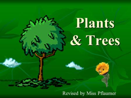 Plants & Trees Revised by Miss Pflaumer.