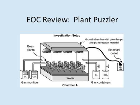 EOC Review: Plant Puzzler