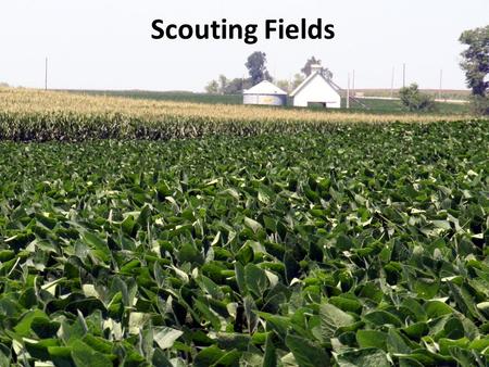 Scouting Fields. Overview 1.Do your homework 2.Basics of scouting 3.Help! I still don’t know.