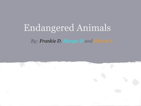 Endangered Animals By: Frankie D, Margie D and Allison R.