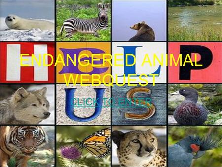 ENDANGERED ANIMAL WEBQUEST CLICK TO ENTER. Please Select a Country.