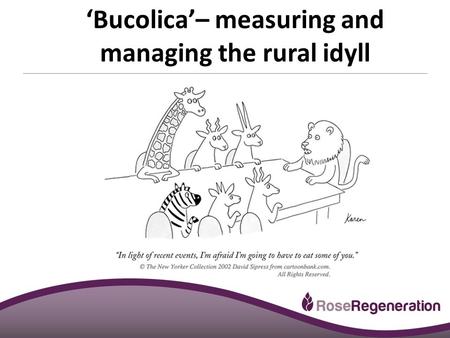 Smithsgore.co.uk ‘Bucolica’– measuring and managing the rural idyll.