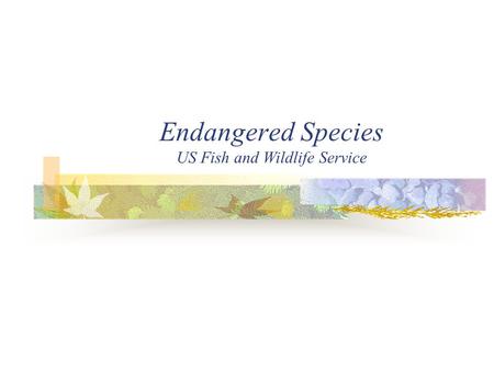Endangered Species US Fish and Wildlife Service. Endangered Species Endangered Species Act Passed in 1983 Purpose Conserve Endangered and Threatened Species.
