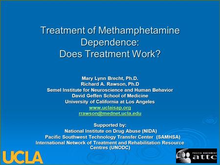 Treatment of Methamphetamine Dependence: Does Treatment Work? Mary Lynn Brecht, Ph.D. Richard A. Rawson, Ph.D Semel Institute for Neuroscience and Human.
