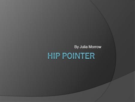 By Julia Morrow. What is a Hip Pointer? A contusion to the iliac crest. In this area it is easier to have an injury due to limited natural protection.