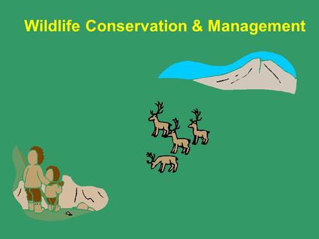 Wildlife Conservation & Management. Key Topics Wildlife Conservation Management & Conservation Principles.
