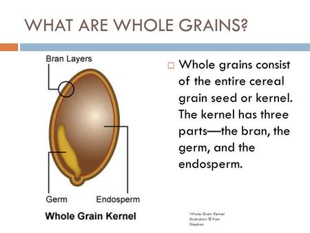 WHAT ARE WHOLE GRAINS?  Whole grains consist of the entire cereal grain seed or kernel. The kernel has three parts—the bran, the germ, and the endosperm.