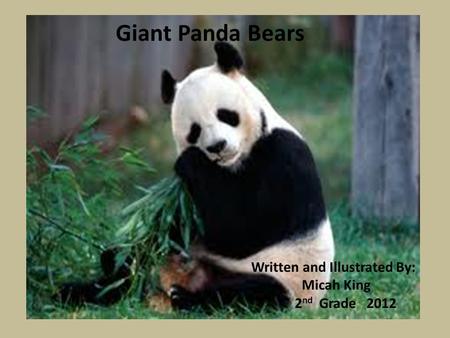 Giant Panda Bears Written and Illustrated By: Micah King 2 nd Grade 2012.
