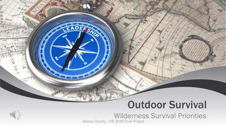 Wilderness Survival Priorities