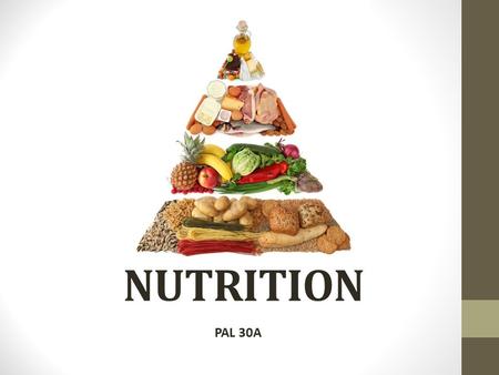 NUTRITION PAL 30A. Role of Protein in Strength Training Research has shown protein to be the most satisfying food to keep you going for 2 – 3 hours Proteins.