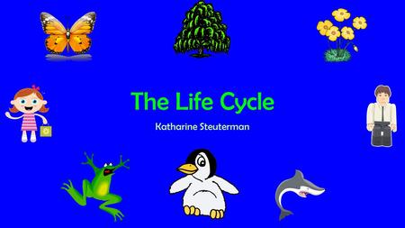 The Life Cycle Katharine Steuterman.