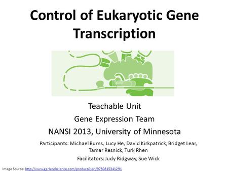 Control of Eukaryotic Gene Transcription Teachable Unit Gene Expression Team NANSI 2013, University of Minnesota Participants: Michael Burns, Lucy He,
